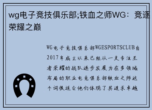 wg电子竞技俱乐部;铁血之师WG：竞逐荣耀之巅